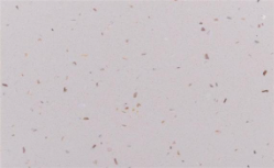 石英石門(mén)質(zhì)感如何樣？